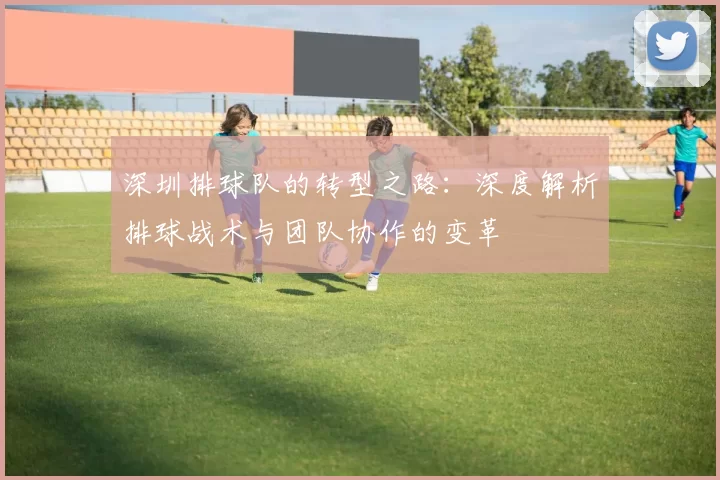 深圳排球队的转型之路：深度解析排球战术与团队协作的变革