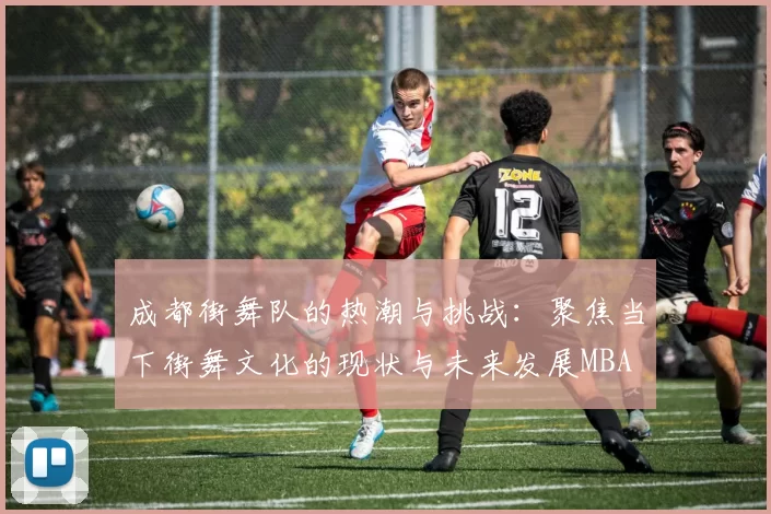 成都街舞队的热潮与挑战：聚焦当下街舞文化的现状与未来发展MBA